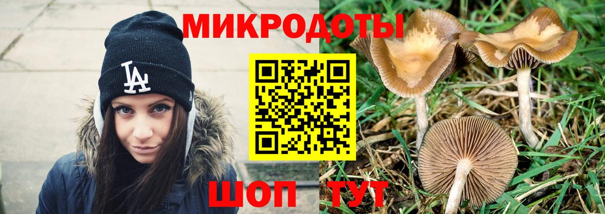 Галлюциногенные грибы GOLDEN TEACHER  Галлюциногенные грибы Psilocybe  сколько стоит  Вход с VPN  Егорьевск 